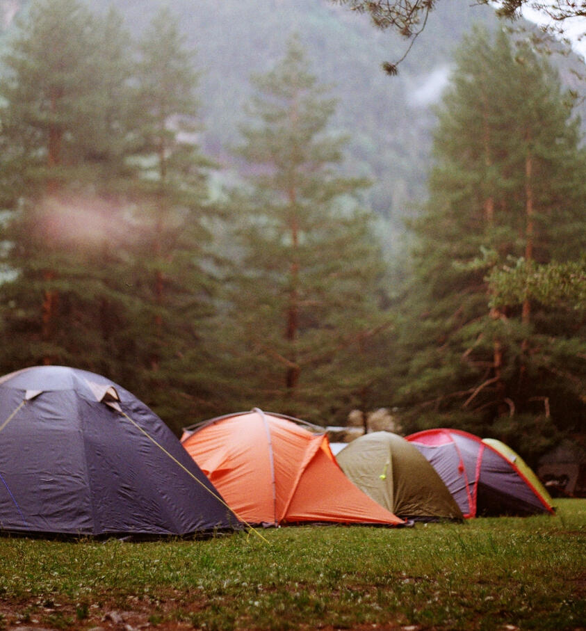 Tents in the forest