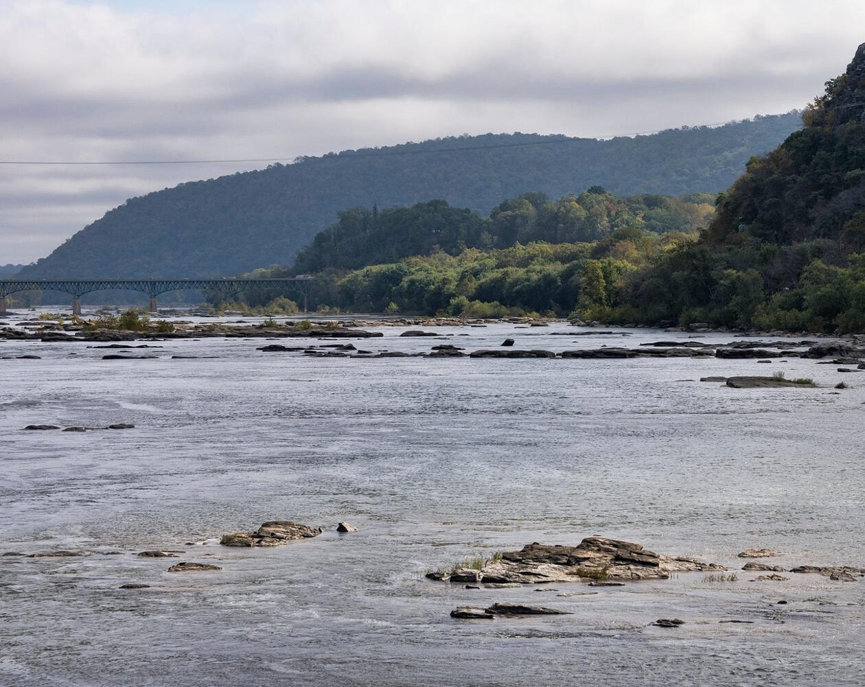 Two people biking along a gravel path on the C&O canal with green trees and grass along the sides and overhead.